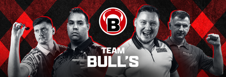 Bull's Player Darts